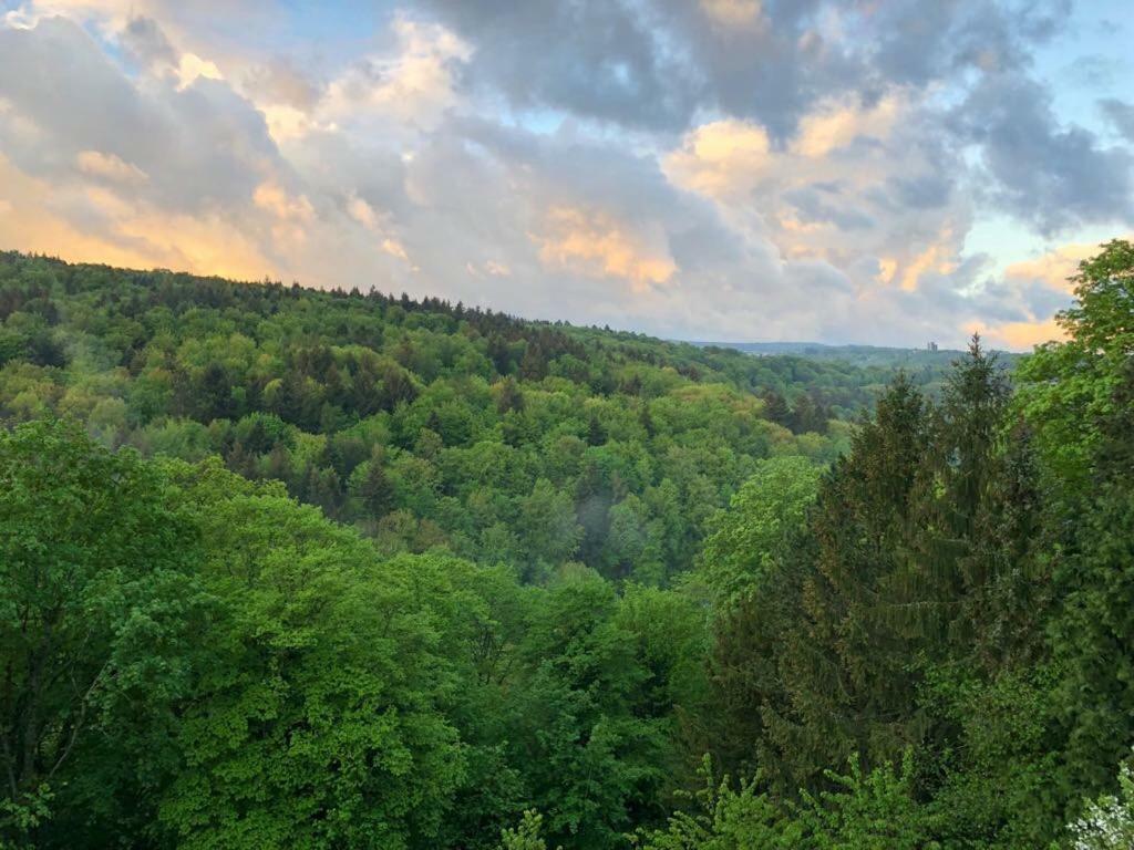 Apartment Am Kupferhammer Pforzheim Eksteriør bilde