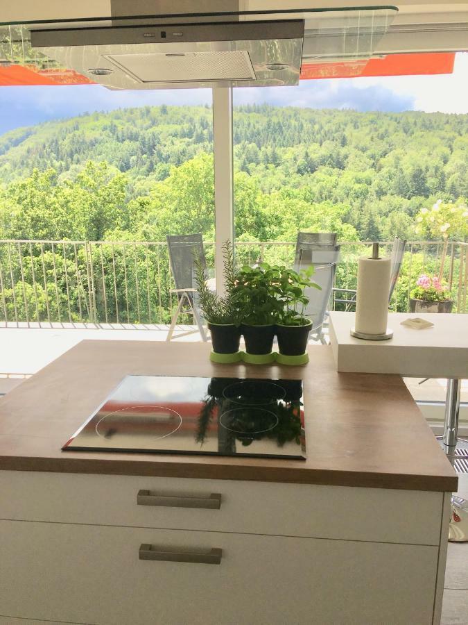 Apartment Am Kupferhammer Pforzheim Eksteriør bilde